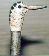 Woodcock