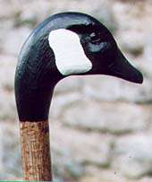 Canada Goose