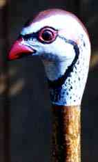 French Partridge