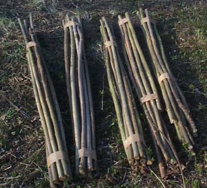 Wooden Brown Shafts for Stickmaking Beech Wood Walking Sticks Shanks/Blanks 25MM 